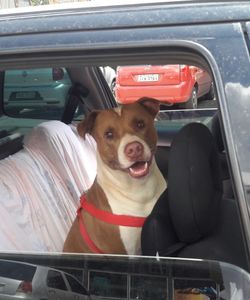 Tratamento do câncer 