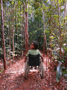 Trilhas Inclusivas Na Floresta Nativa