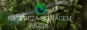 naturezaselvagembrasil
