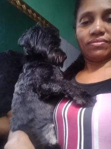 Preciso de ajuda financeira pra pagar dívidas urgentes e me ajudar c as despesas . Crio uma cachorrinha e uma calopsita epago aluguel