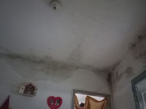 Reformar paredes e laje com muita infiltração e mofo
