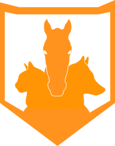 Protetores de Animais: ajuda com gastos anuais e desenvolvimento da aplicação AnimalProtech