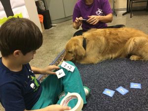 EAA-  Projeto Olhar de Cão