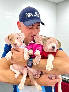 Novos resgatados precisam da sua ajuda!