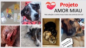 Projeto Amor MiAu: Salve os animais de rua! 