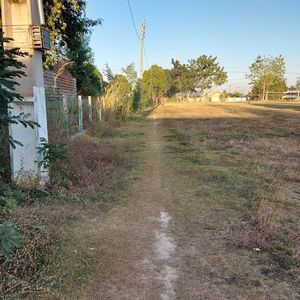 Trazendo o sonho novamente 