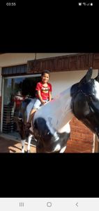 Minha casa Minha vida 