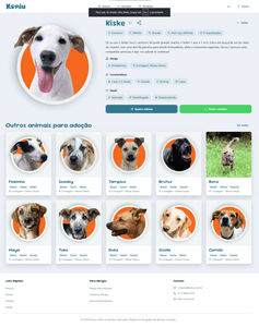 Apoio à plataforma de divulgação de animais