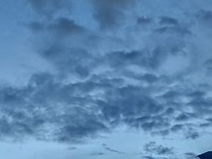 Campanha ombros amigos (a)