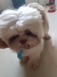 Dê A Ele Uma Segunda Chance