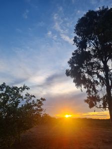 Ajudar o meio ambiente 