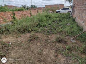 Tenta fazer uma casinha pra morar mais minha família e sair do aperreio TDS daluguel agradeço a TDS q ajudarem e que Deus ajude a  TDS bj