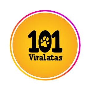 Calendário 2026 101 Viralatas Goods