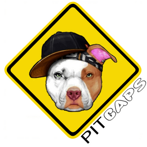 Ajude a PITCAPS a se tornar realidade 