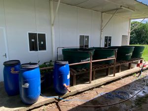 Desenvolvimento de Unidade Sustentável de Produção de Peixes.