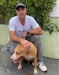 PitsAles. Ajuda Relâmpago