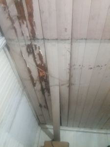 Arrecadar para ajudar minha família! 