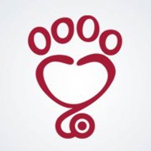 Calendário 2022 da ONG Patas Therapeutas