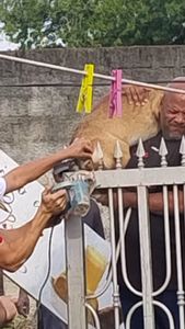 Thor precisa da tua ajuda.