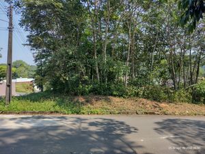 Projeto de Mini Fazenda de Hidroponia Urbana para Orgânicos 