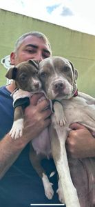 Mutirão de ajuda!! Vamos juntos!! 