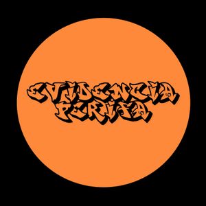 Feira Cultural Evidencia Perifa