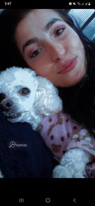 Cirurgia para salvar os olhos e a vida de Branca