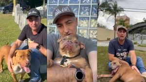 Pitbullândia. A hora da mudança é agora.
