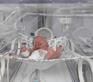 Ajude a minha filha sophia.