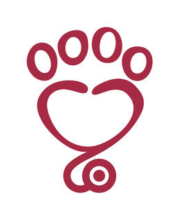 Calendário 2023 da ONG Patas Therapeutas