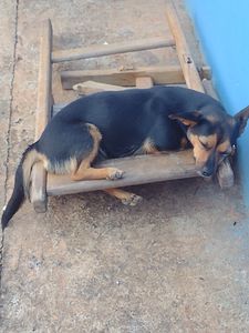 Todos por um mundo melhor 