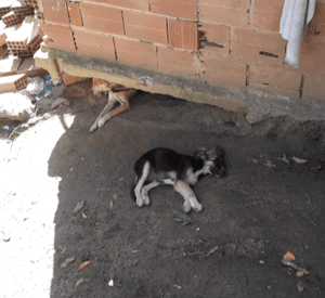 Ajude a Marizete para que a casa dela não caia!!!