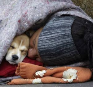 O friu só é gostoso e elegante para quem tem uma casa quentinha casa 