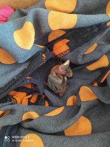 Nós ajude a manter o meio ambiente