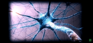 Ajude este professor a adquirir equipamentos para conteúdo gratuito de capacitação docente para inclusão de transtorno de aprendizagem: dyslexia e autismo 