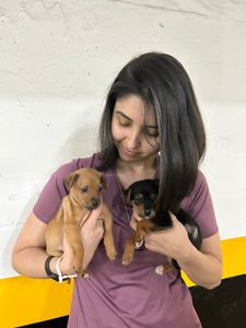 Corrente do bem - Comunicações Intuitivas (Rebeka) - Internação Mãezinha e Filhotes