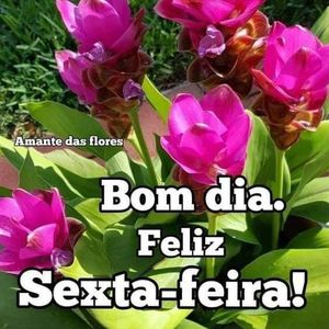 Arrecadaçao pra cirugia