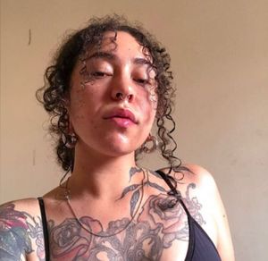 Cirurgia para tratar a gatinha Janis