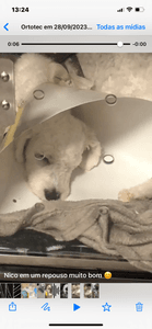 Ajude a pagar a cirurgia de reconstrução de fratura e tratamento de infecção do Nico