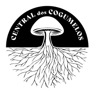 CENTRAL DOS COGUMELOS – O PRIMEIRO CENTRO CULTURAL DO MUNDO DEDICADO AOS COGUMELOS 🍄