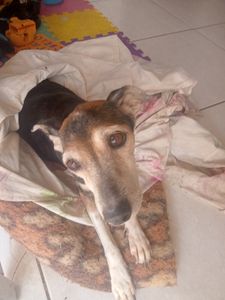 Medicação para nossa velhinha