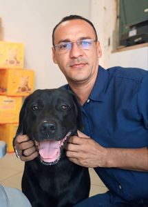 SEJA UM DINDO! CAMPANHA NACIONAL DE CASTRAÇÃO DE CÃES E GATOS.
