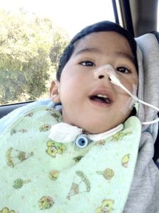 Andador Enzo - Portador Cuidados Especiais