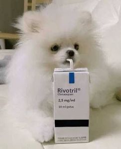 Reestruturação da Lojinha