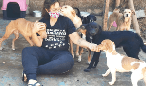 Doação para ajudar lar temporário!