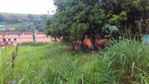 ajuda para construir a minha casa