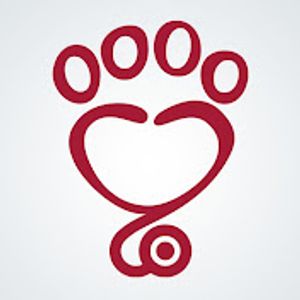 Calendário 2024 da ONG Patas Therapeutas