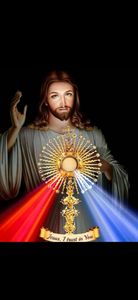 Loja dos meus sonhos 