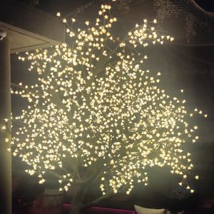 Aniversário 2023 pré casamento