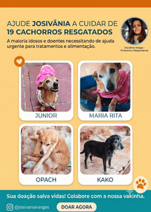 Doe Amor aos 19 Cães de Josivânia